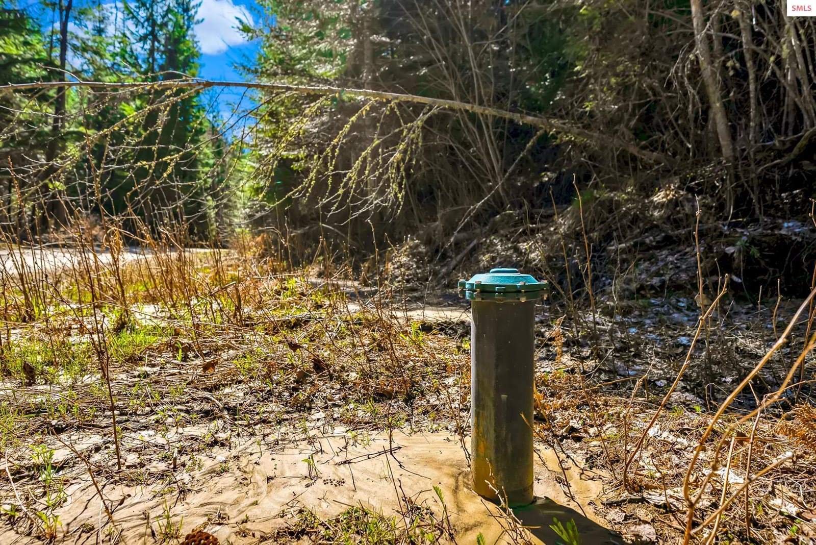 NKA Otter Lane, Naples, ID 83847