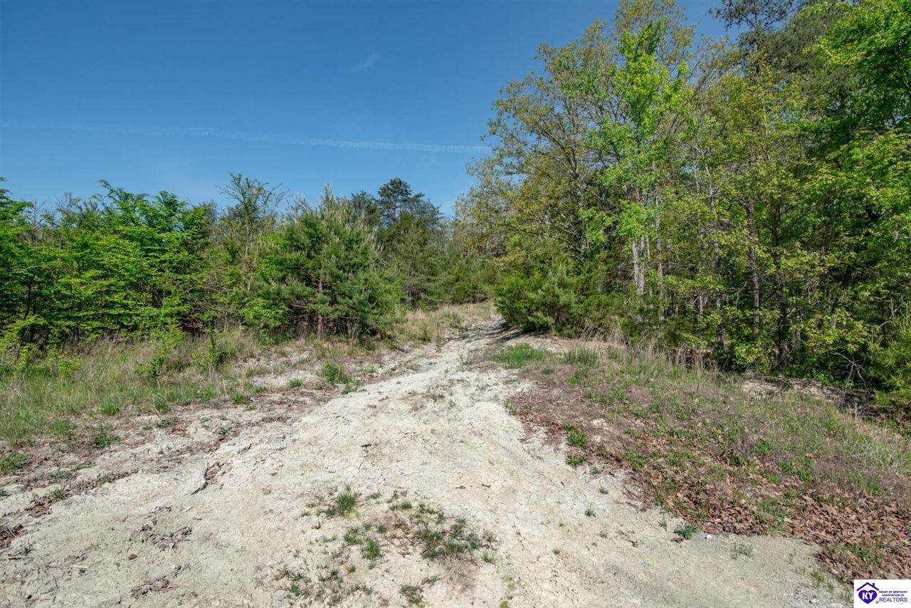 1543 Jim Clark Road, New Haven, KY 40051