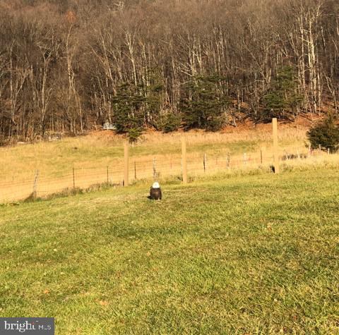 4001 Bentonville Road, Bentonville, VA 22610