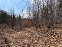 408 Bowden Road, Corinna, ME 04928