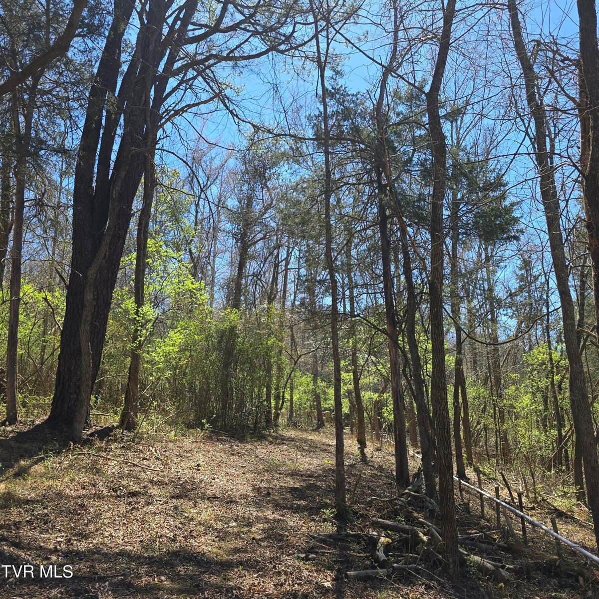 2058 Siam Road, Elizabethton, TN 37643