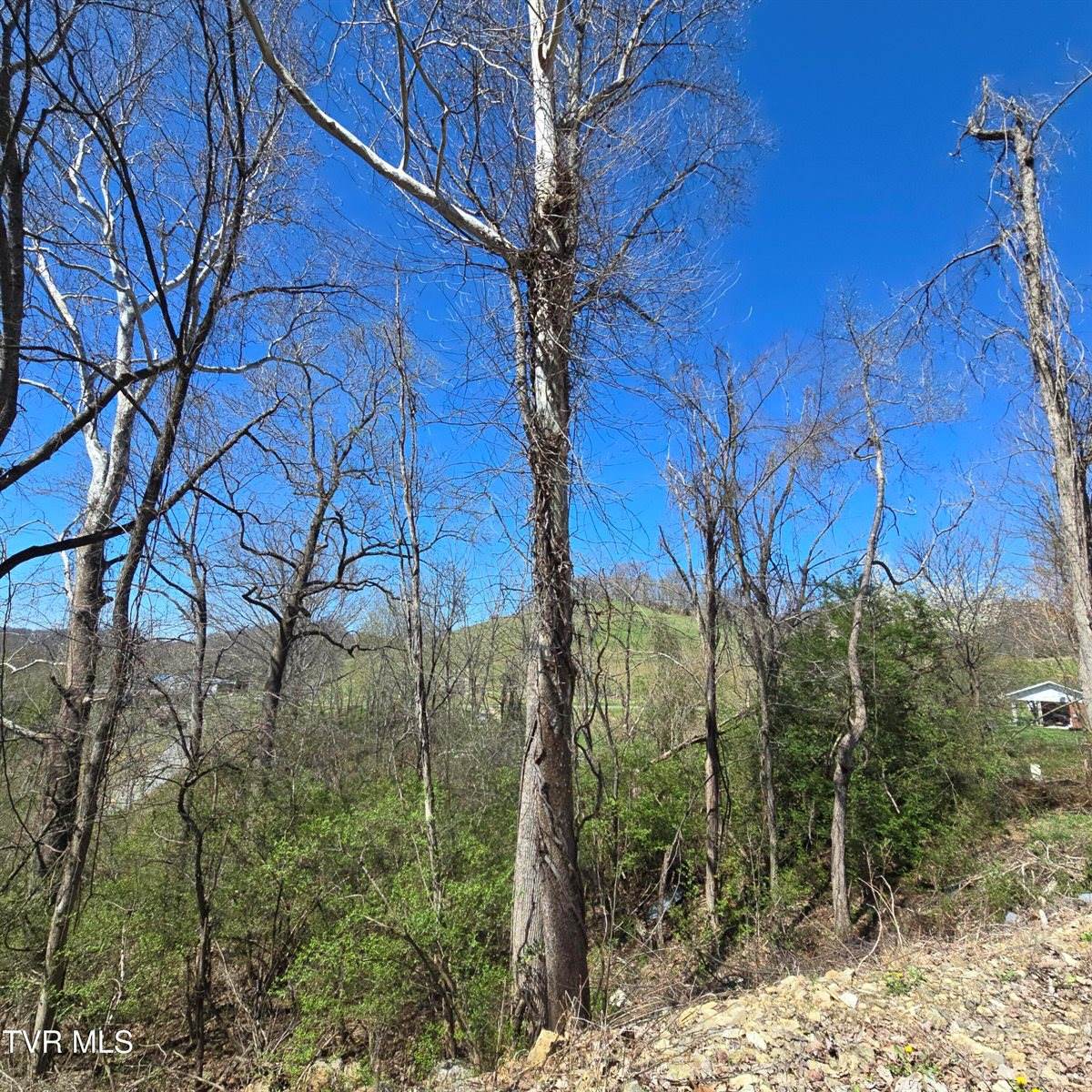 2058 Siam Road, Elizabethton, TN 37643
