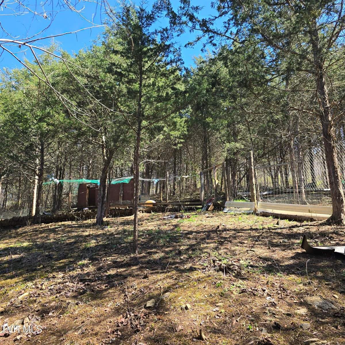 2058 Siam Road, Elizabethton, TN 37643