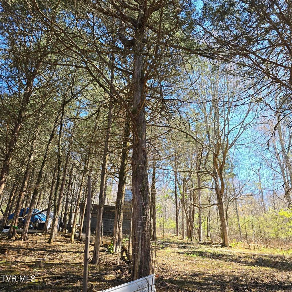 2058 Siam Road, Elizabethton, TN 37643