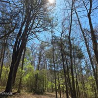 2058 Siam Road, Elizabethton, TN 37643