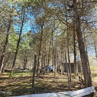 2058 Siam Road, Elizabethton, TN 37643