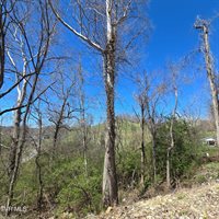 2058 Siam Road, Elizabethton, TN 37643