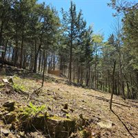 2058 Siam Road, Elizabethton, TN 37643