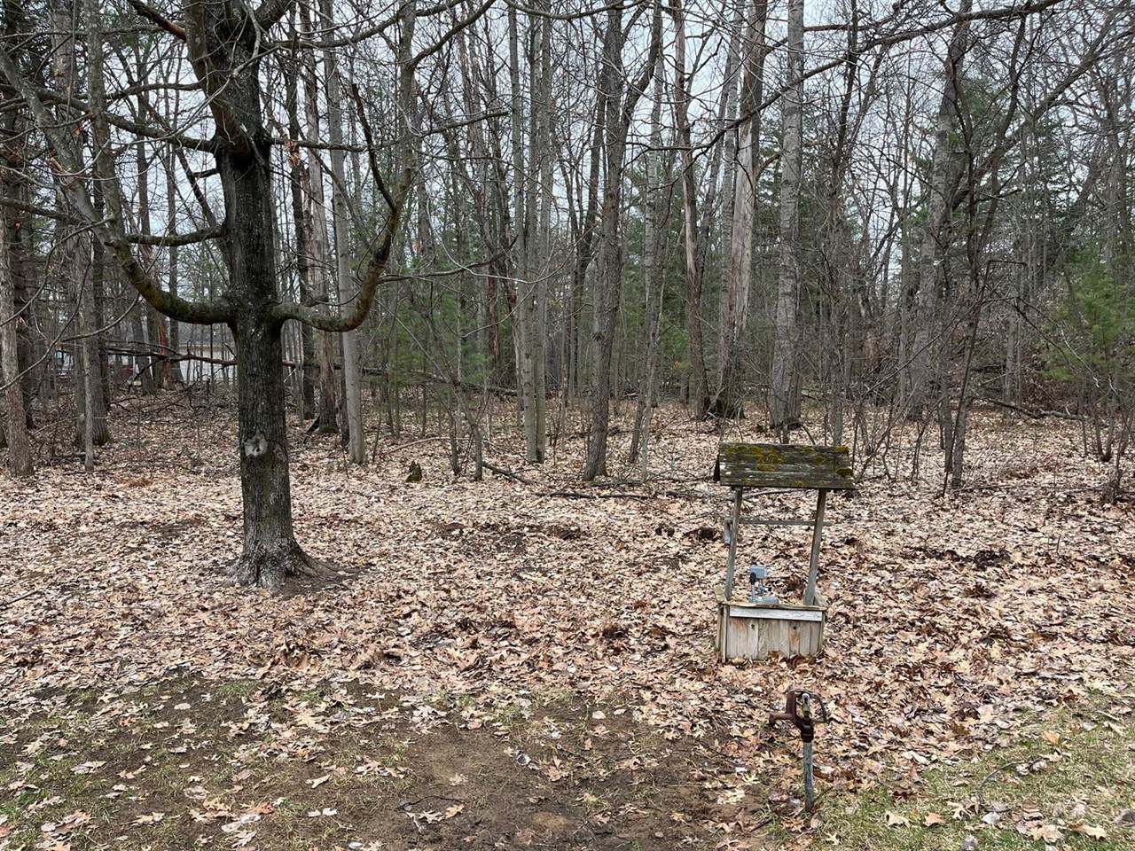 119 Forest Park Court, Prudenville, MI 48651