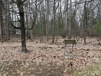 119 Forest Park Court, Prudenville, MI 48651