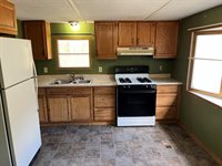 119 Forest Park Court, Prudenville, MI 48651