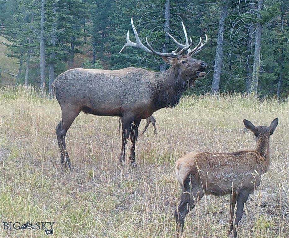 770 Mountain Moose Road, Bozeman, MT 59715