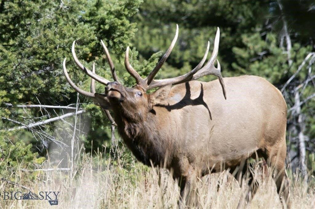 770 Mountain Moose Road, Bozeman, MT 59715