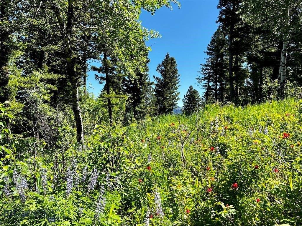 770 Mountain Moose Road, Bozeman, MT 59715