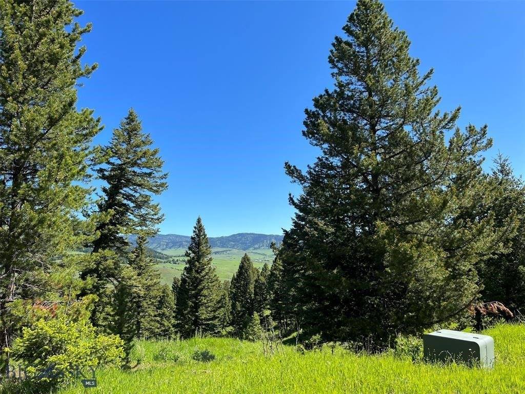 770 Mountain Moose Road, Bozeman, MT 59715