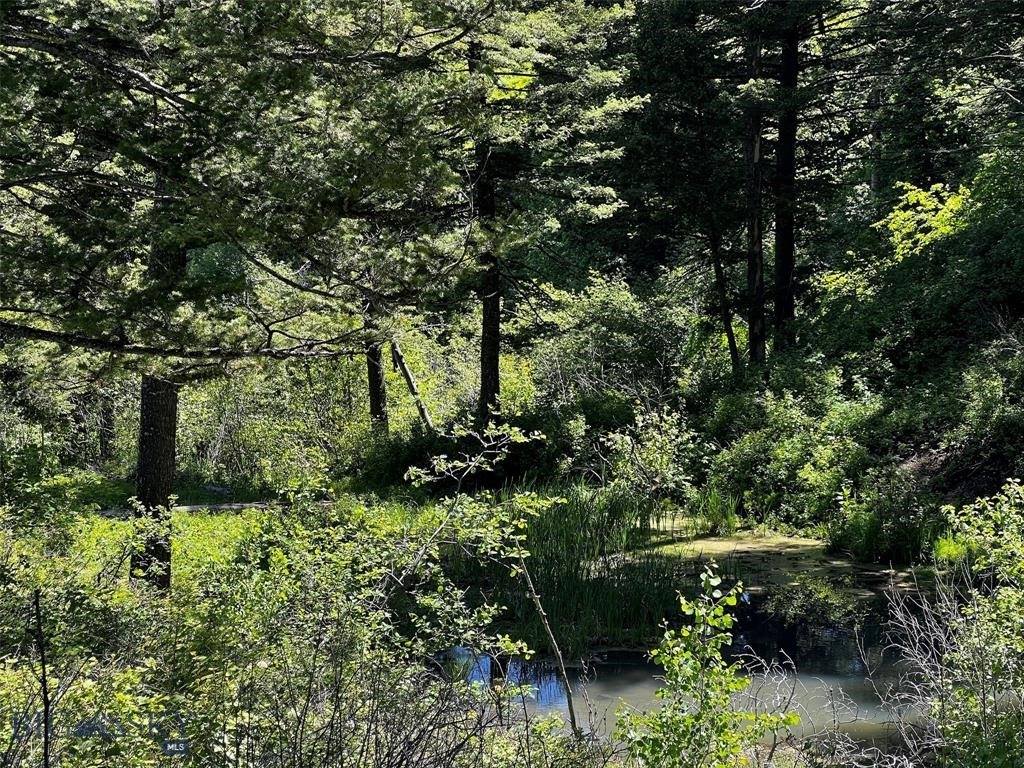 770 Mountain Moose Road, Bozeman, MT 59715