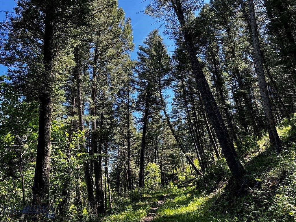 770 Mountain Moose Road, Bozeman, MT 59715