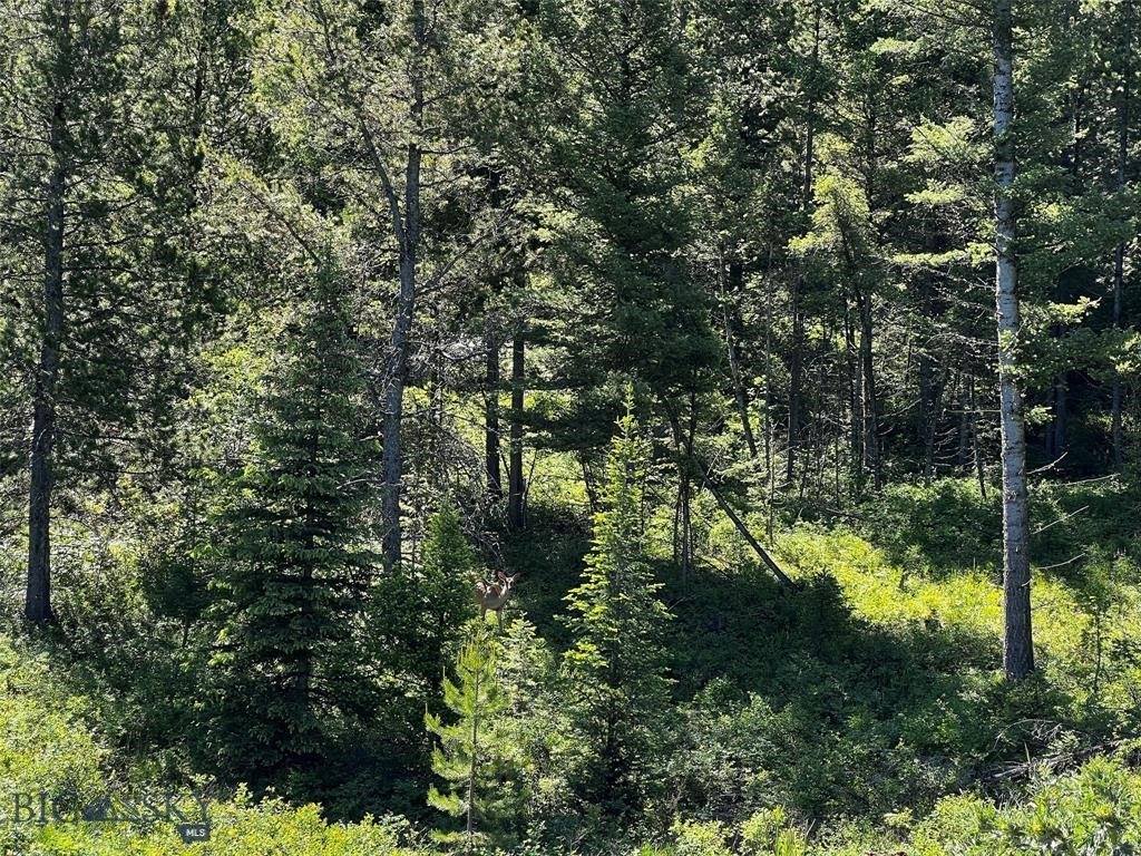 770 Mountain Moose Road, Bozeman, MT 59715