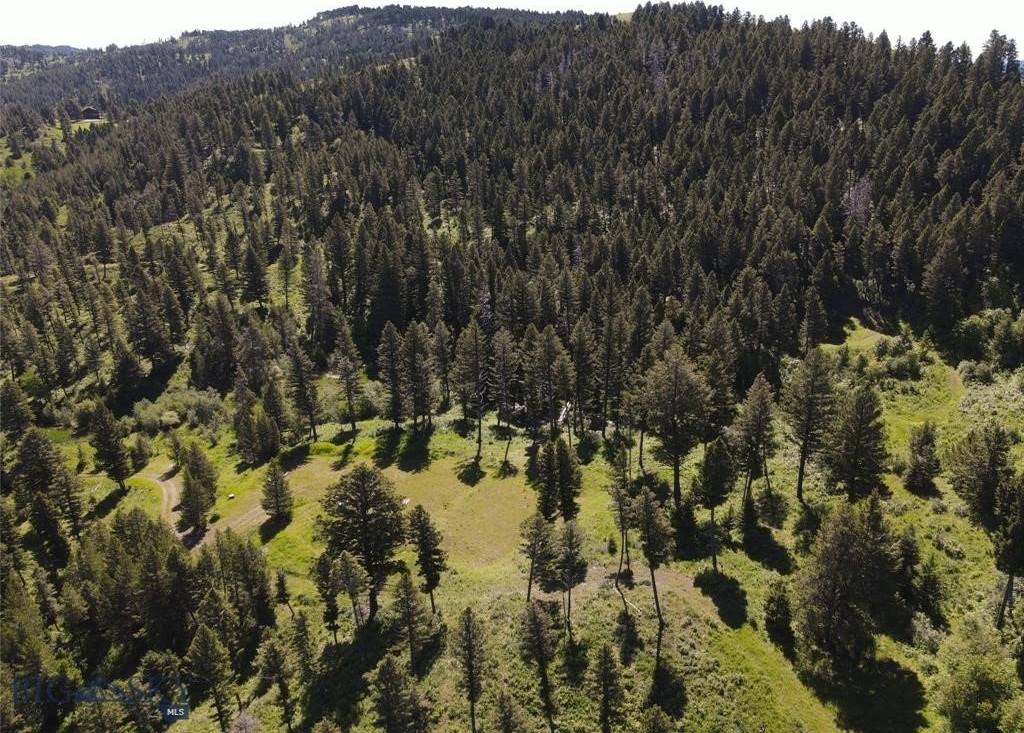 770 Mountain Moose Road, Bozeman, MT 59715