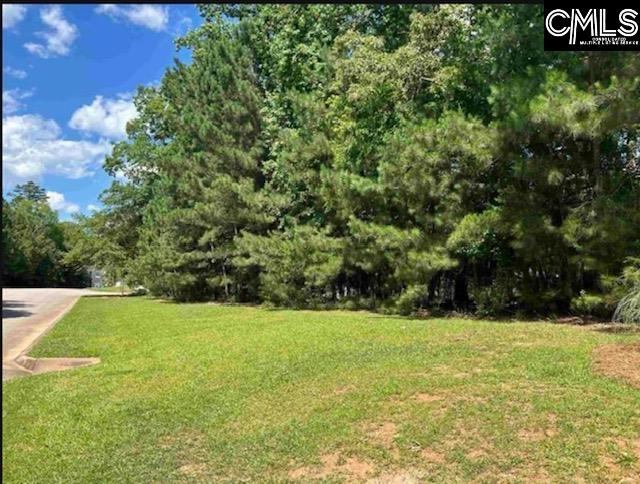 255 Lake Estates, Chapin, SC 29036