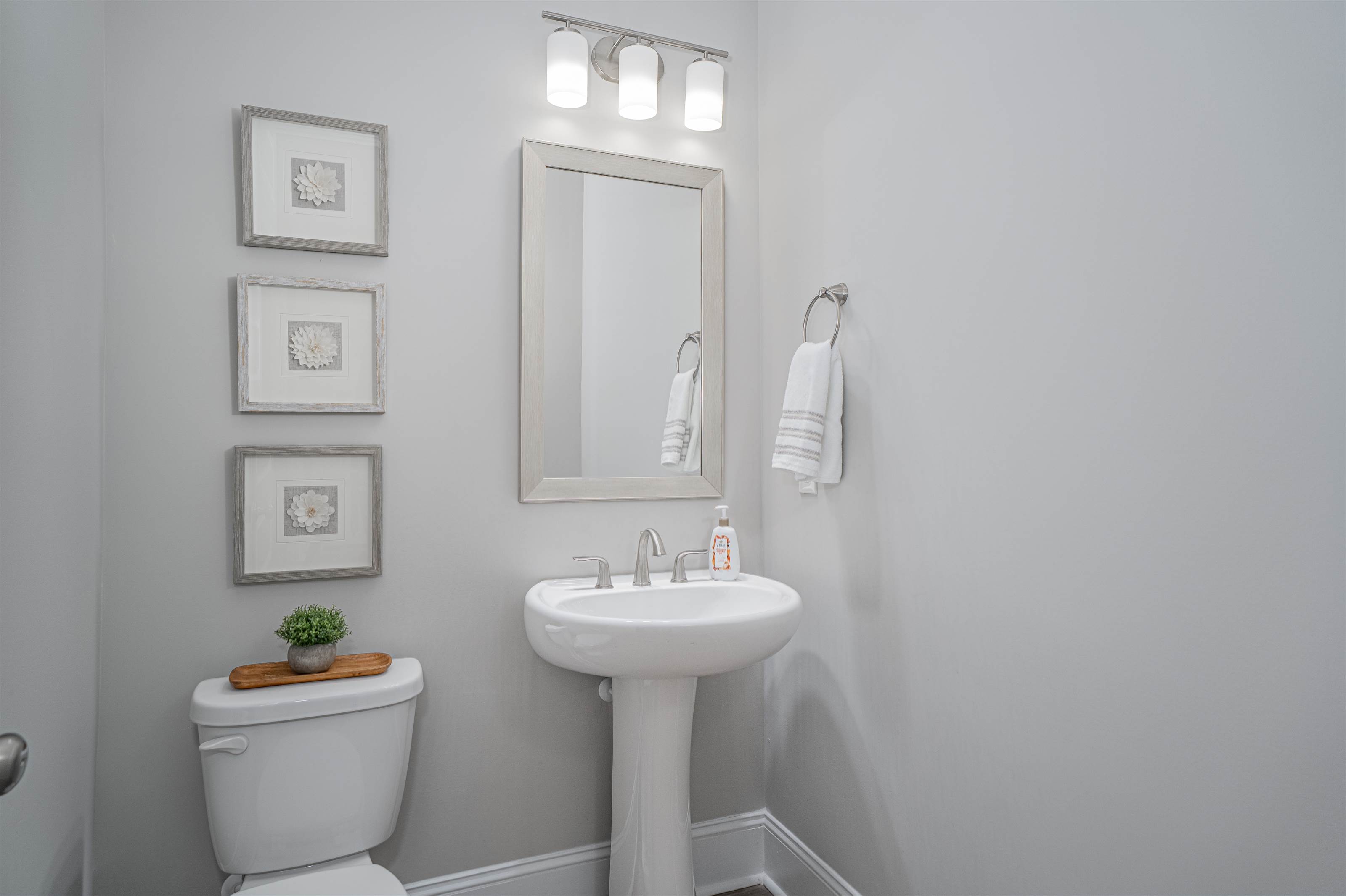 155 Almofini Lane, Chapin, SC 29036