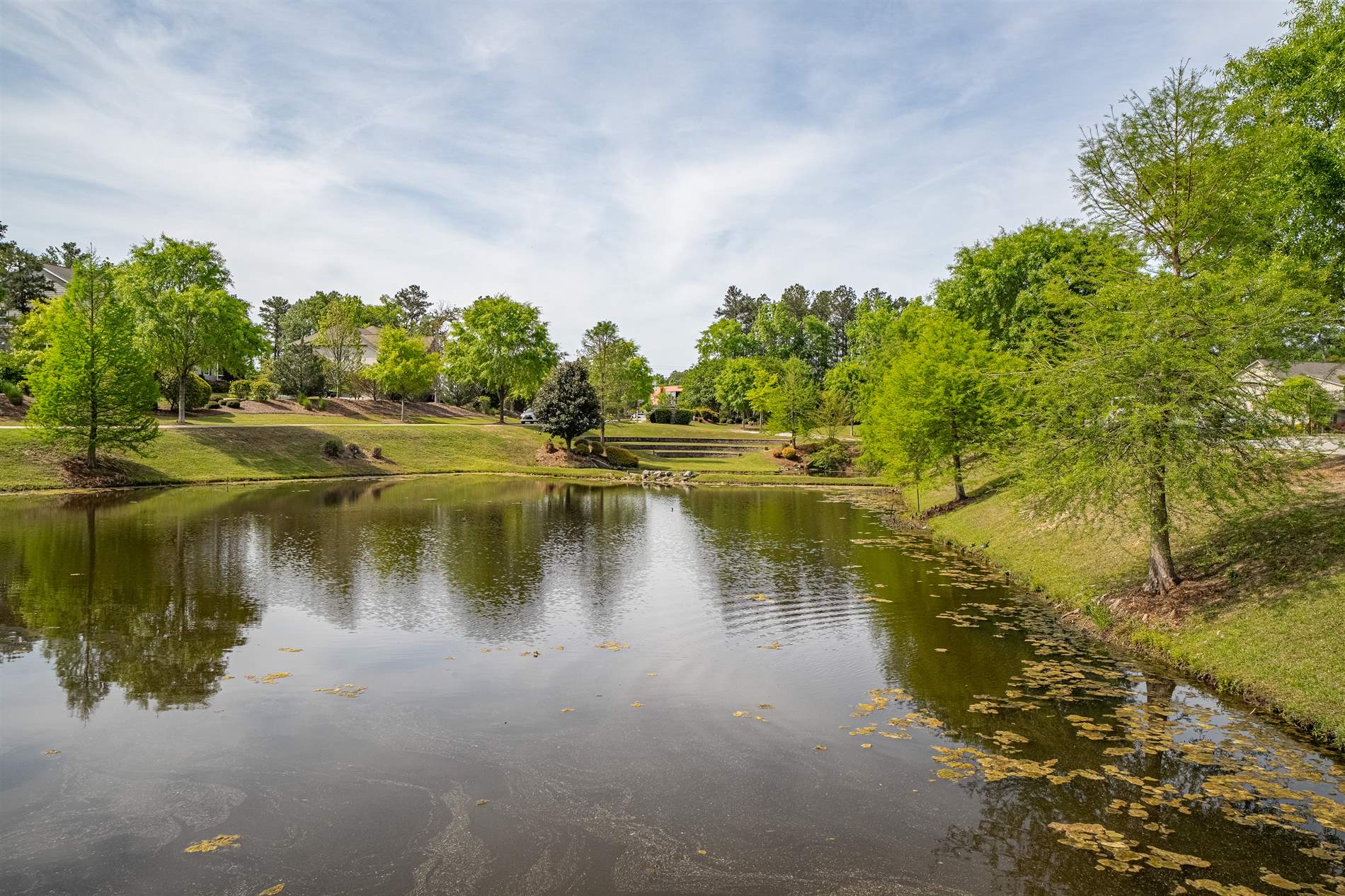 155 Almofini Lane, Chapin, SC 29036