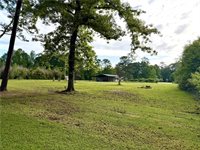 20275 Chappepeela Road, Loranger, LA 70446