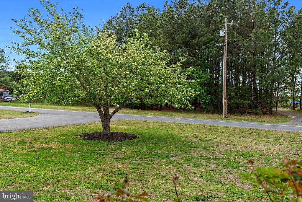 30828 Downs Landing Road, Millsboro, DE 19966