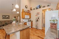 1333 Excelsior Creek Avenue, Montrose, CO 81401