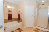 1333 Excelsior Creek Avenue, Montrose, CO 81401