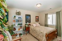 1333 Excelsior Creek Avenue, Montrose, CO 81401