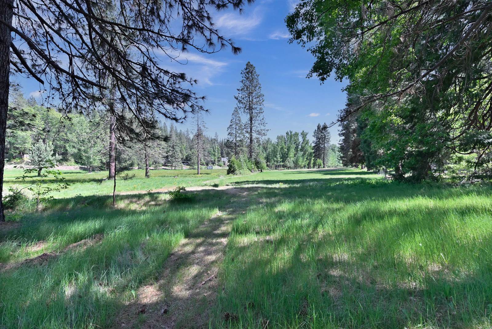 1801 Pine Dr, Arnold, CA 95223