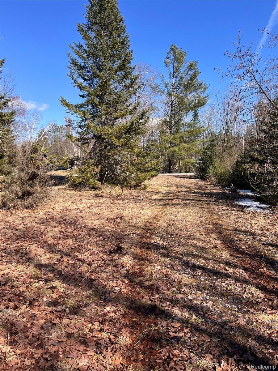 3120 Lakeshore Drive, CurtisTownship_Alcona, MI 48737