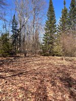 3120 Lakeshore Drive, CurtisTownship_Alcona, MI 48737