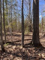 3120 Lakeshore Drive, CurtisTownship_Alcona, MI 48737