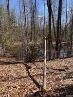 3120 Lakeshore Drive, CurtisTownship_Alcona, MI 48737