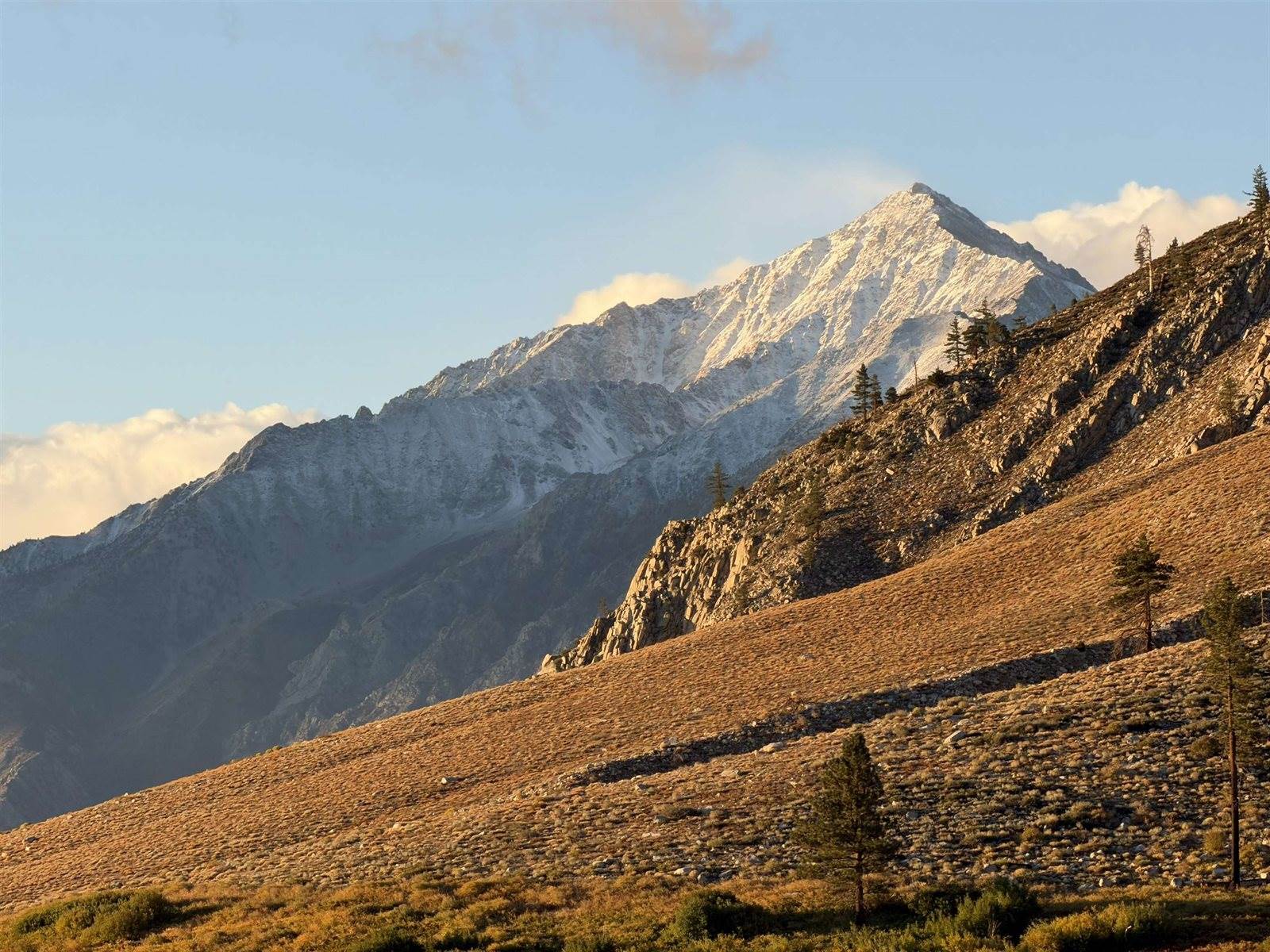 653 Mountain View Dive, Swall Meadows, CA 93514