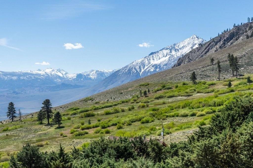 653 Mountain View Dive, Swall Meadows, CA 93514