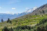 653 Mountain View Dive, Swall Meadows, CA 93514