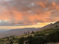 653 Mountain View Dive, Swall Meadows, CA 93514