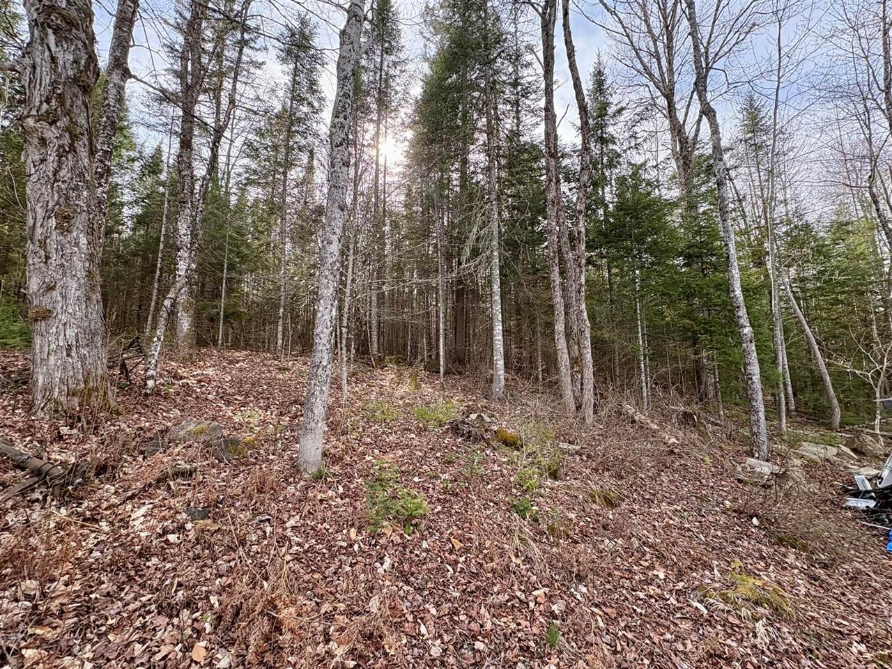 36 Springfield Road, Winn, ME 04495