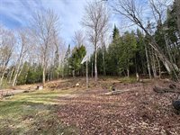 Listing Photo 44