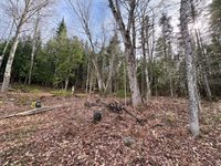 Listing Photo 45