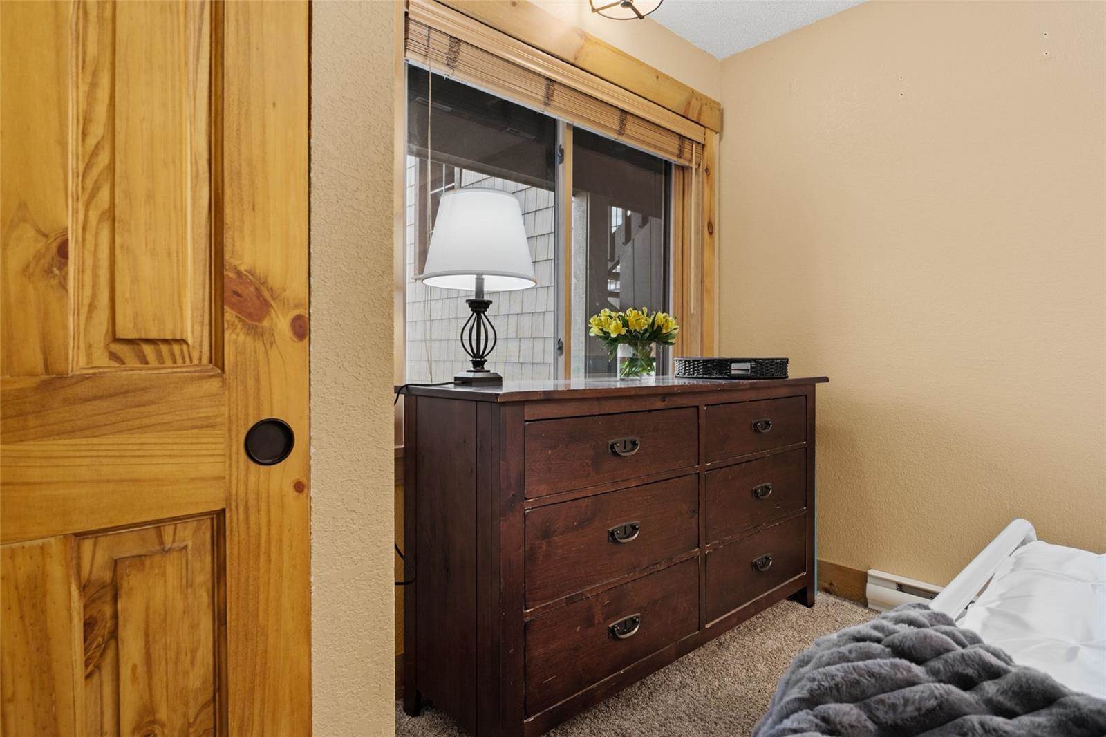 2955 Columbine Drive, #10, Steamboat Springs, CO 80487