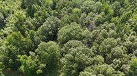 0 Chapel Hill Rd, Utica, MS 39175