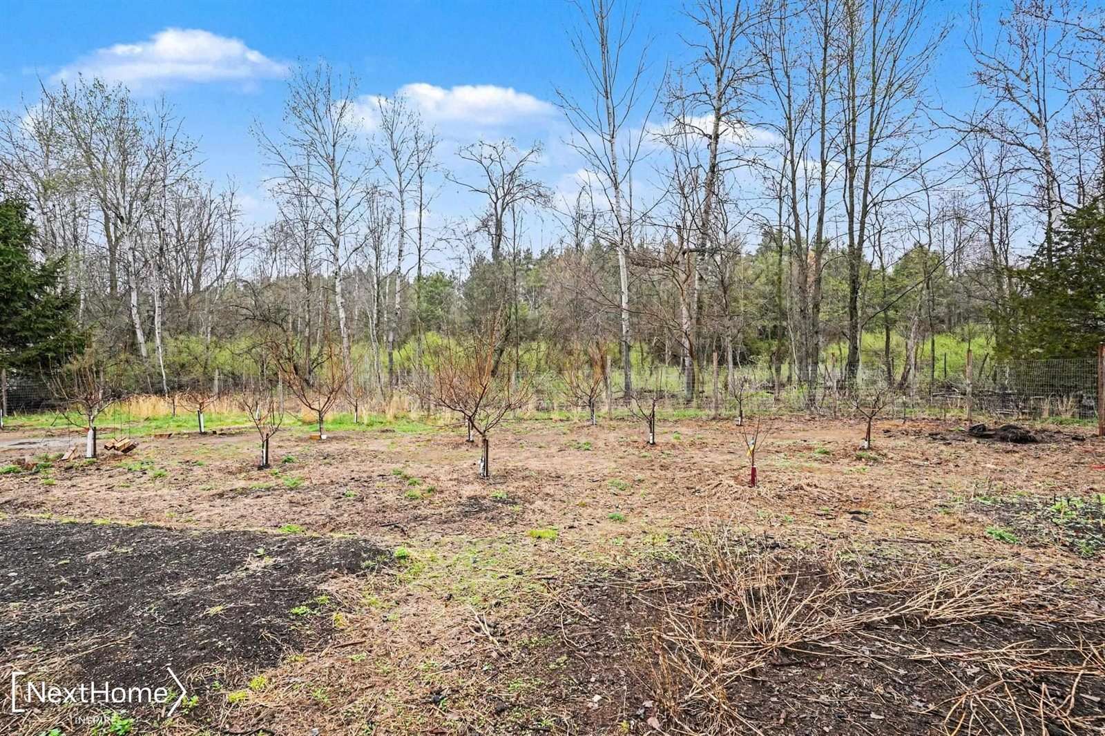 5720 Chambers Road, FremontTownship_Tuscola, MI 48744