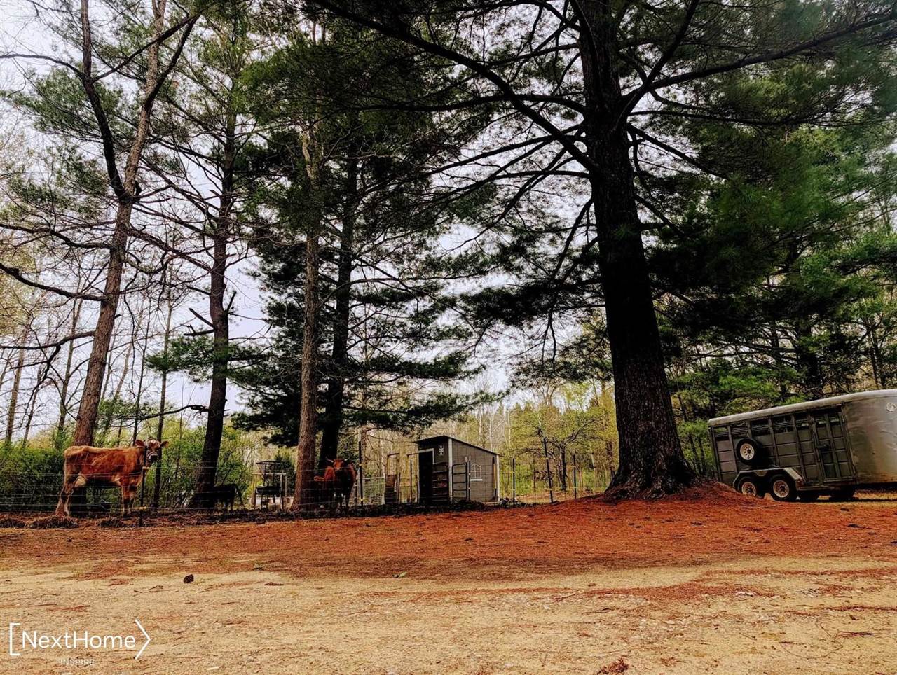 5720 Chambers Road, FremontTownship_Tuscola, MI 48744