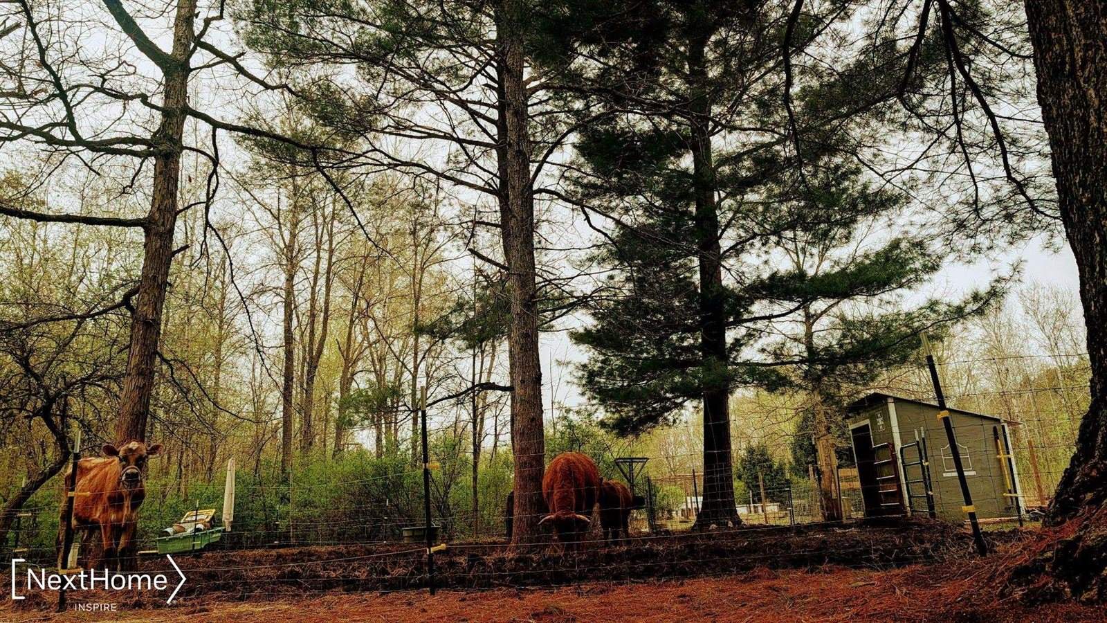 5720 Chambers Road, FremontTownship_Tuscola, MI 48744