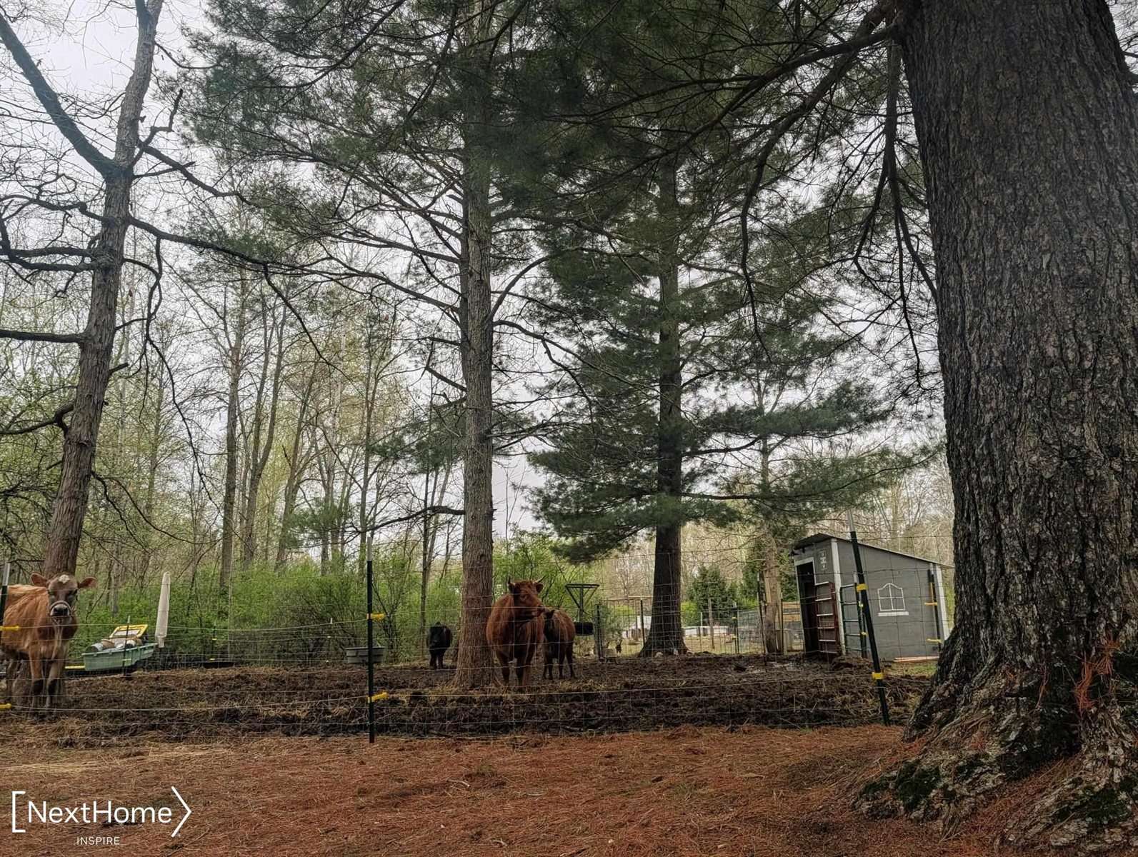 5720 Chambers Road, FremontTownship_Tuscola, MI 48744