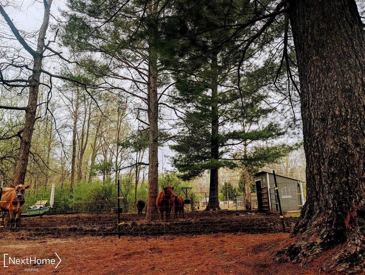 5720 Chambers Road, FremontTownship_Tuscola, MI 48744